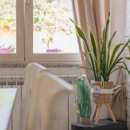 Comfort House Apartment *